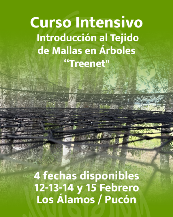 Curso Domingo 16 Febrero 10:00 a 13:00 Hrs.