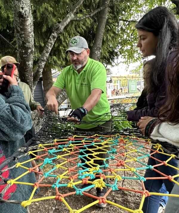Taller Online de TreeNet