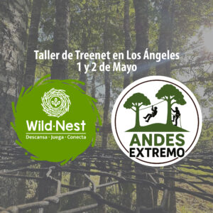 Taller Básico VIERNES 1