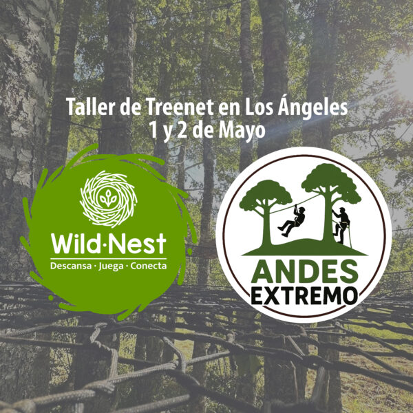 Taller Avanzado 1-2