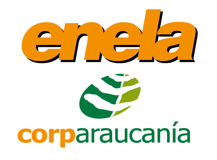 Enela Corparaucanía