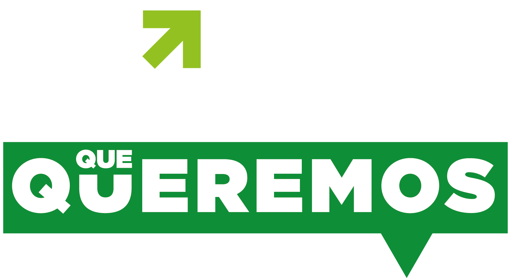 La Araucanía que Queremos